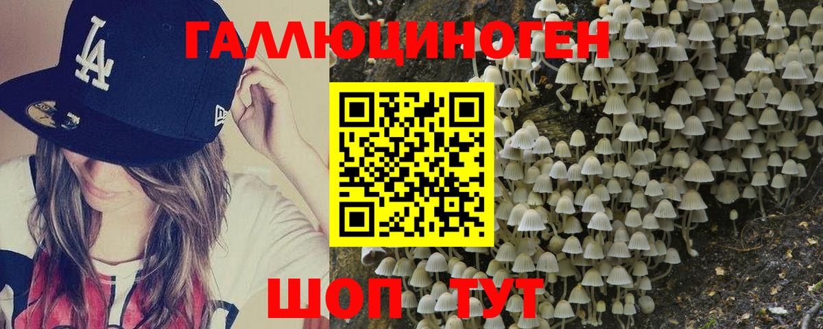 Галлюциногенные грибы мицелий Зеленодольск